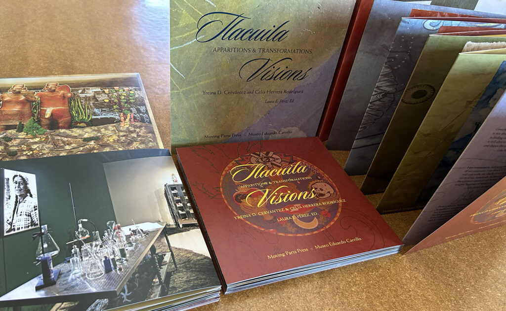 arrangement of colorful books