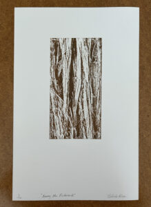 art print of redwood bark