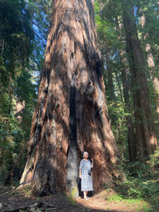 women standing with redwood tree