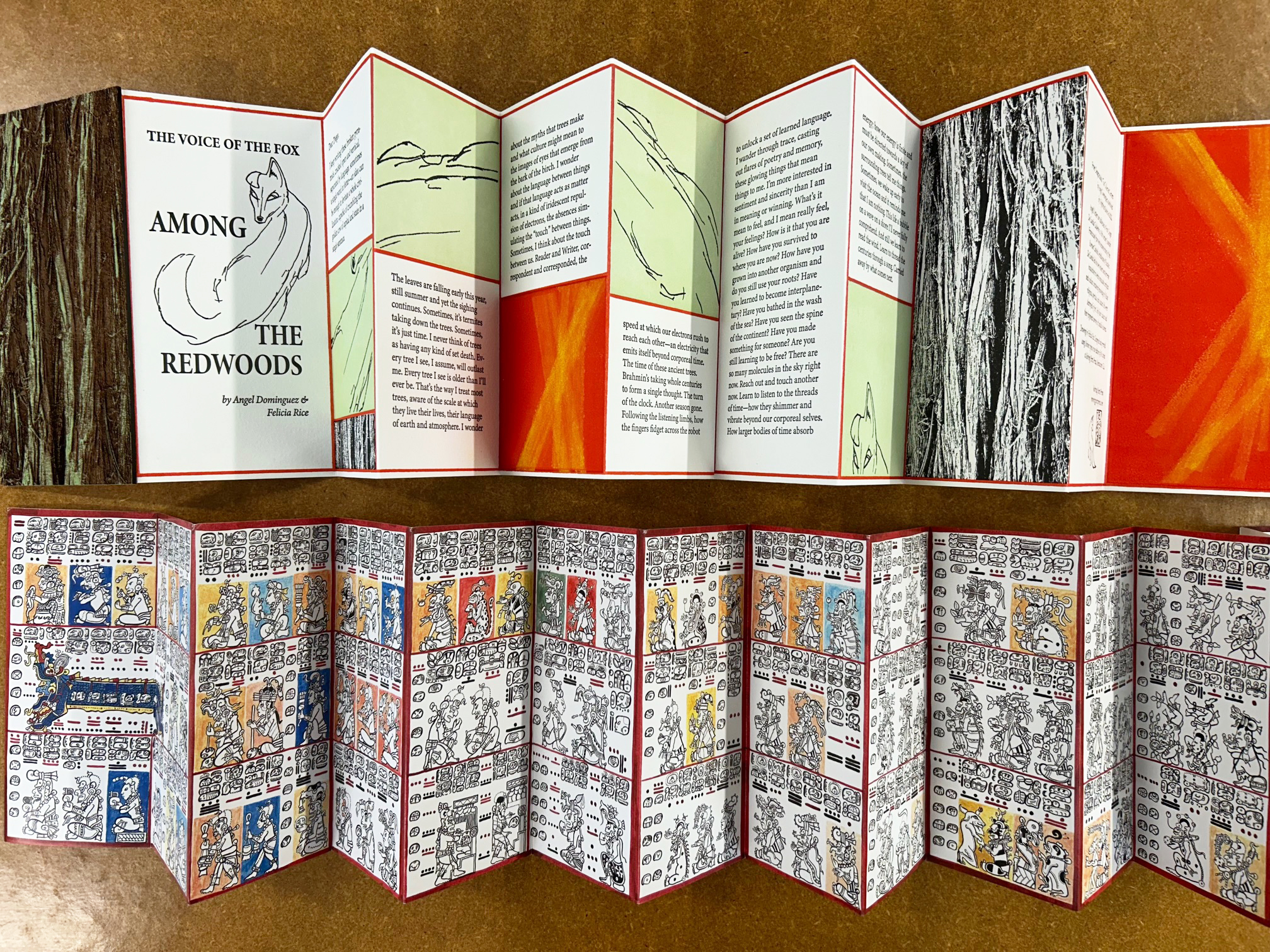 two artists books