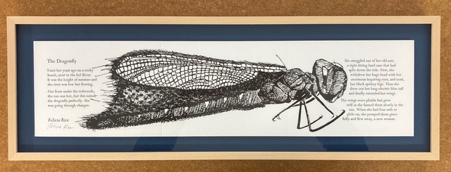 drawing of dragonfly