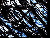 back and blue graphic