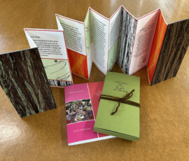artists book
