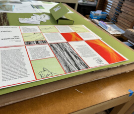 book sheets