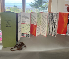 artists' book in window